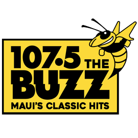 107.5 The Buzz